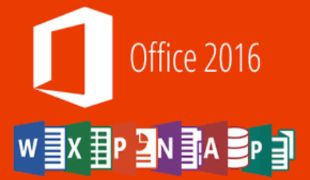 MS Office Application I